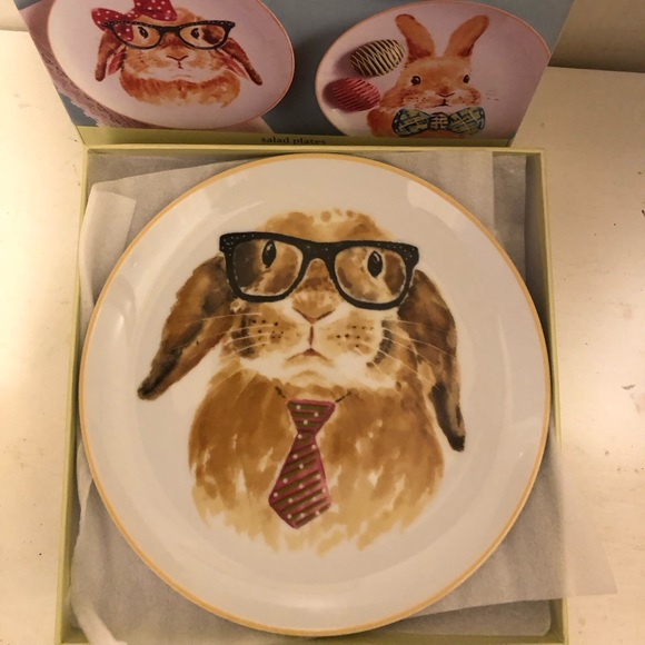 Pier 1 Dining Pier Imports Rabbit Plates 4 New Poshmark